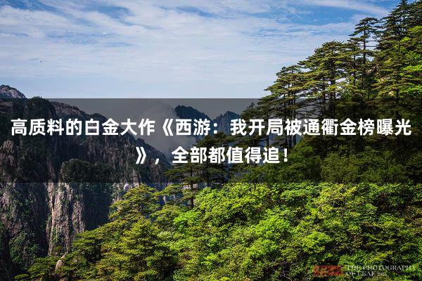 高质料的白金大作《西游：我开局被通衢金榜曝光》，全部都值得追！