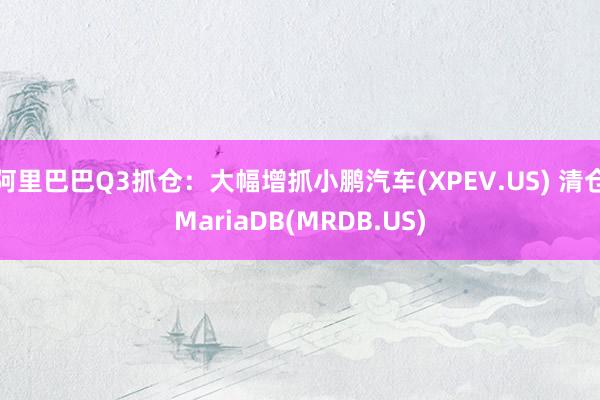 阿里巴巴Q3抓仓：大幅增抓小鹏汽车(XPEV.US) 清仓MariaDB(MRDB.US)