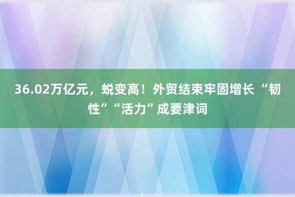 36.02万亿元，蜕变高！外贸结束牢固增长 “韧性”“活力”成要津词